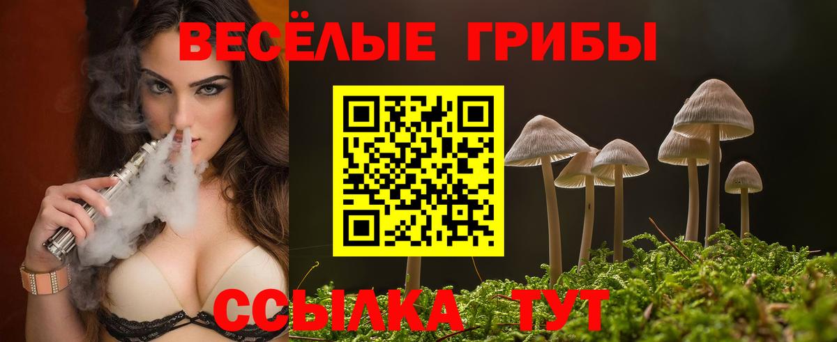 Псилоцибиновые грибы Psilocybe  Вход с VPN  Камышин 